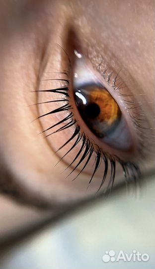 Оформление бровей / ламинирование ресниц