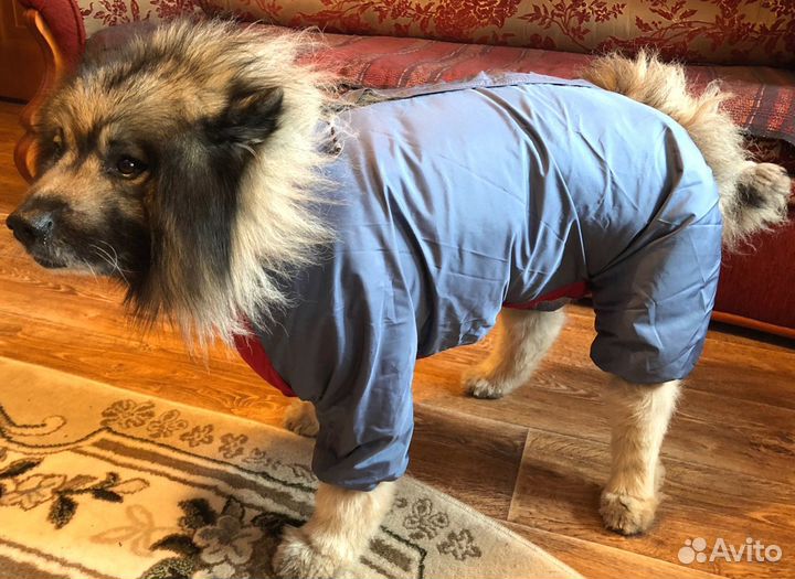 Комбинезон для мальчика