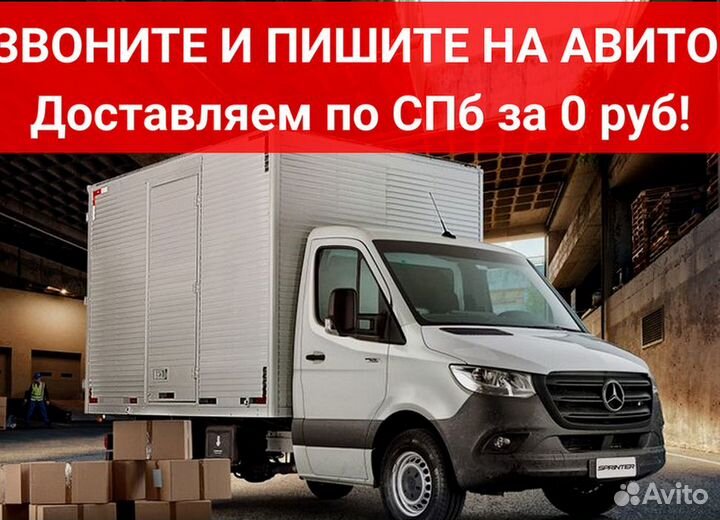 Рохля короткая