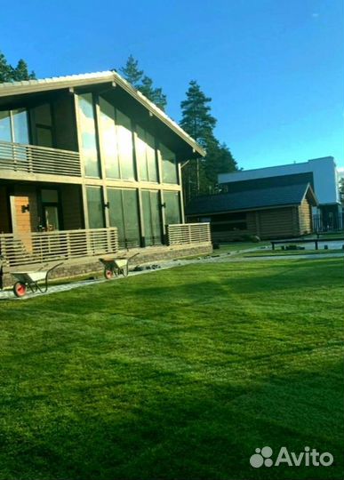 Рулонный газон