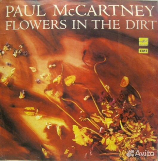 Виниловые Пластинки (LP) список