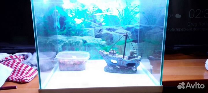 Аквариум