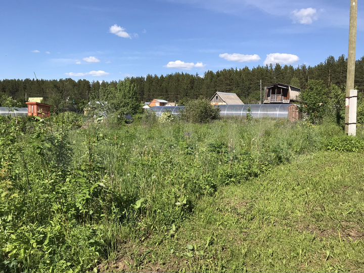 Участок 5,3 сот. (СНТ, ДНП)