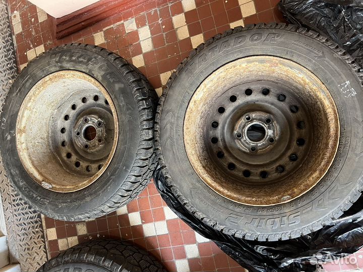 Matador MP 51 Sibir 2 195/65 R15