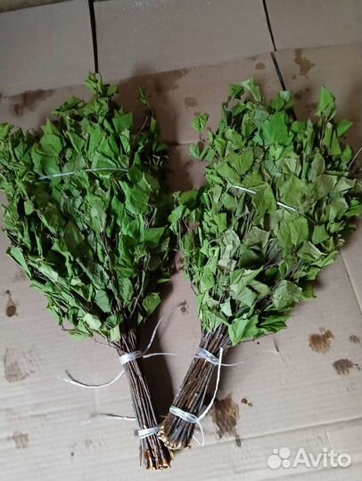 Березовые веники