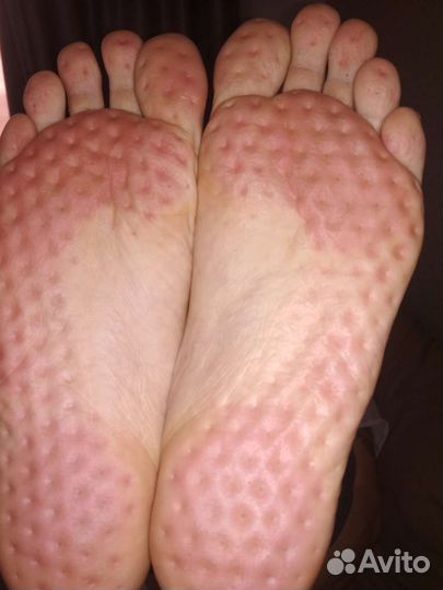 Доски садху