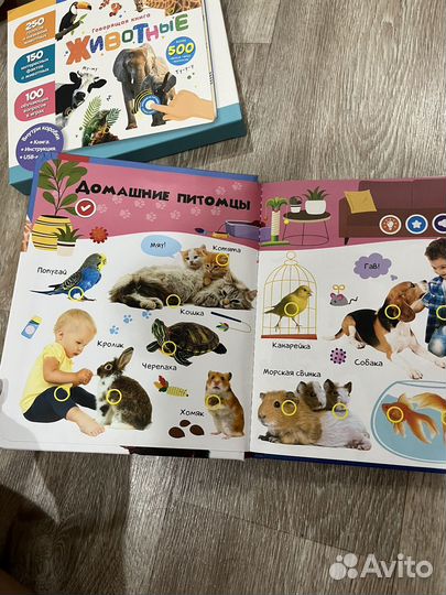 Книга нажималка животные