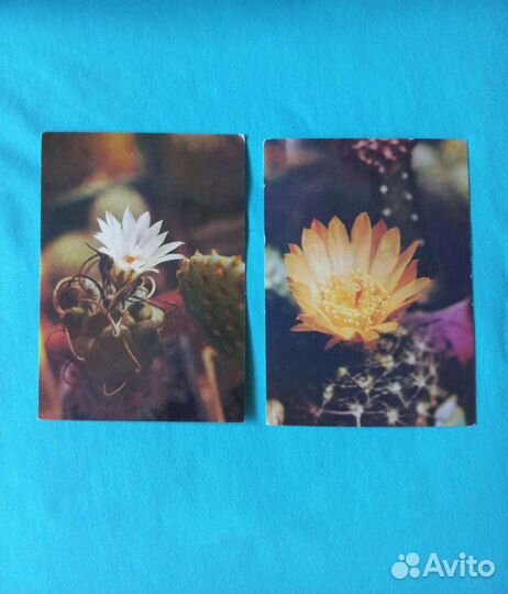 Открытки СССР