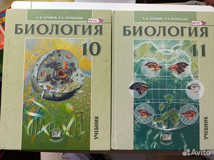 Теремов, Петросова 