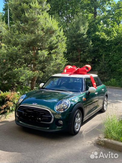 Большой бант на машину, фотосессию аренда