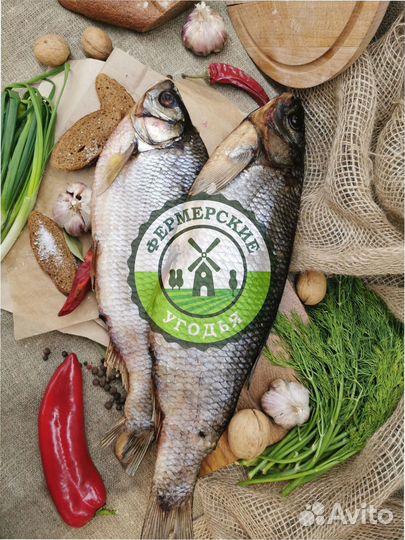 Рыба северная Язь Щука Щекур Мохтик Лещ Сырок