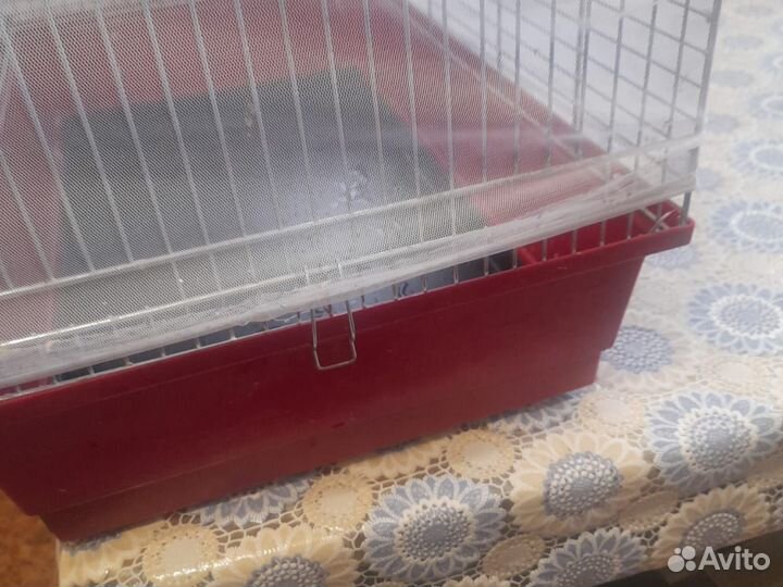 Клетка для попугая