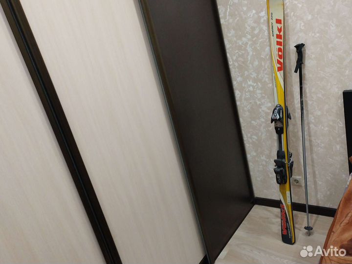 Горные лыжи