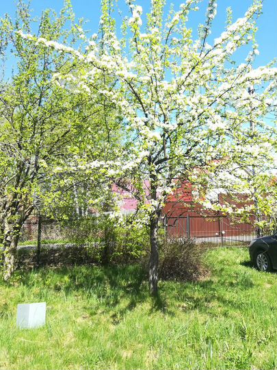 Дача 32,8 м² на участке 6 сот.