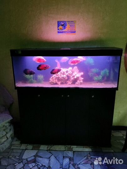 Аквариум