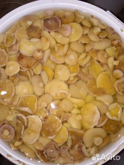 Маринованые грибы оптом