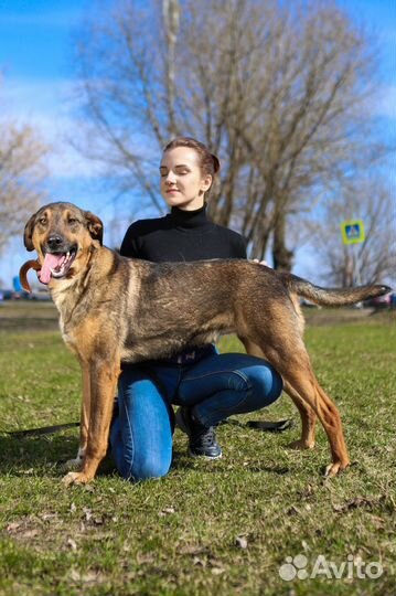 Август- милый, нежный мальчик, пусть тебе повезет
