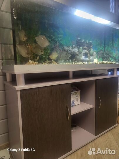 Аквариум с тумбой rehau 270 литров