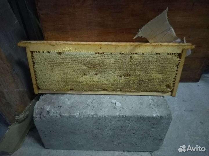 Мед с домашней пасеки