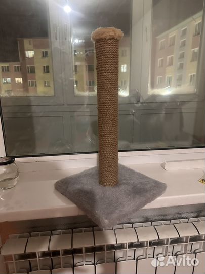 Когтеточка