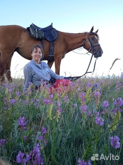 Конные прогулки & походы в Анапе