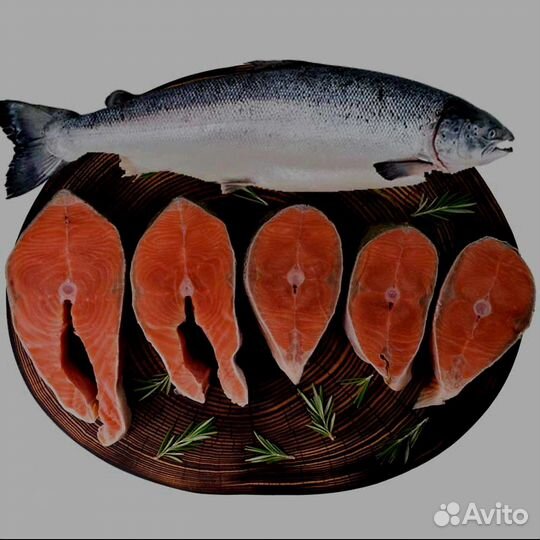 Рыба Лосось, Семга, Чавыча