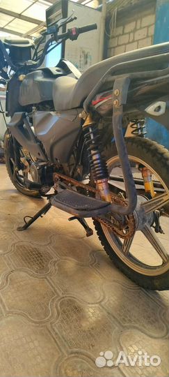 Alpha Rs 12 Champ Millenium