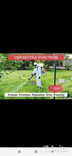 Обработка участка от насекомых