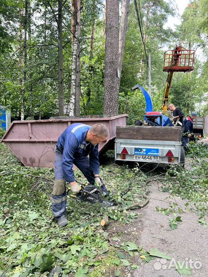 Расчистка участка. Спил дерева