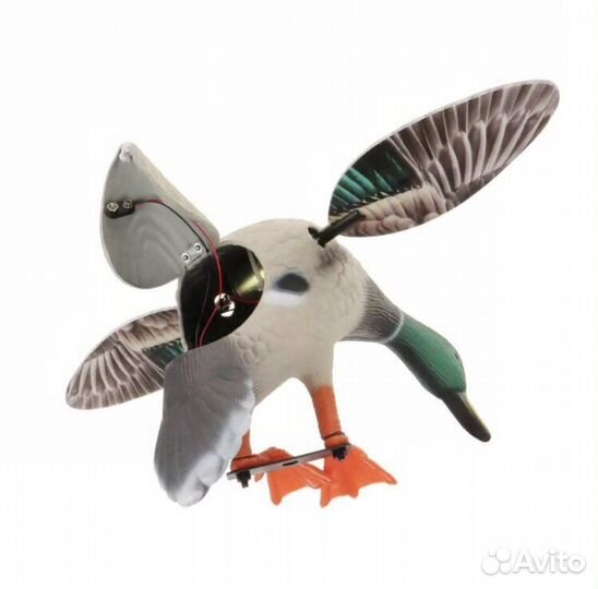 Чучело утки махокрыл