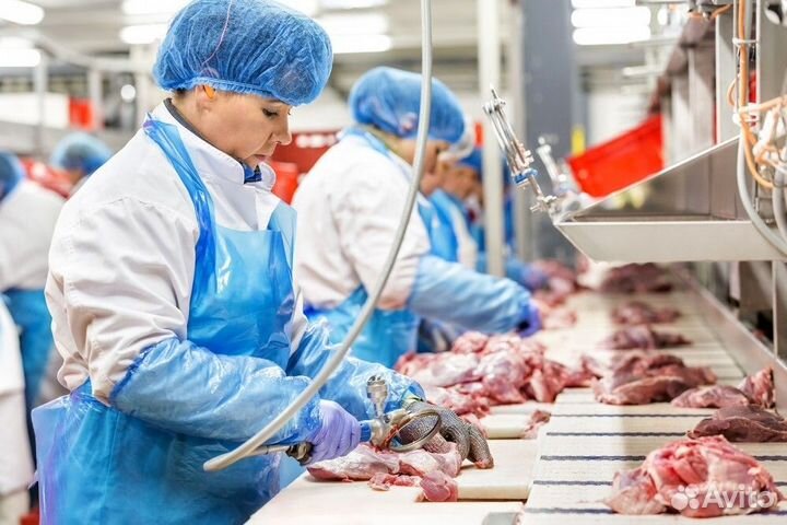 Разнорабочий на птицефабрику