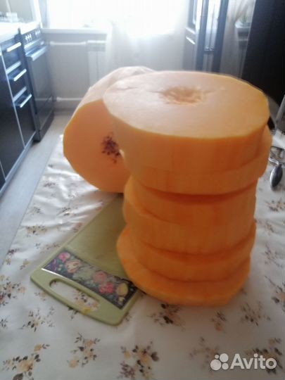 Продам тыкву