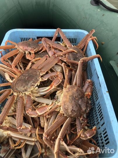 Продам краба, рыба холодного копчения