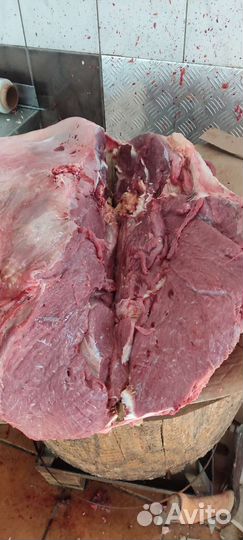 Мясо говядина для собак