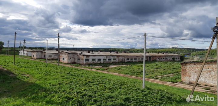 Продается животноводческая ферма