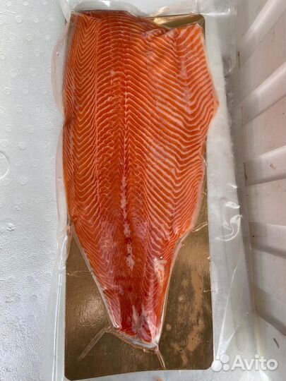 Рыба/Сёмга/Форель