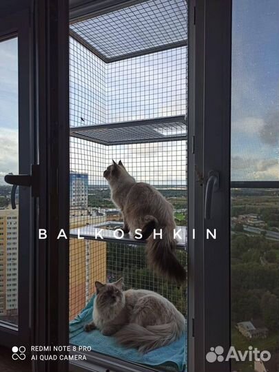 Балкон для кошки, вольер для кошки, антикошка