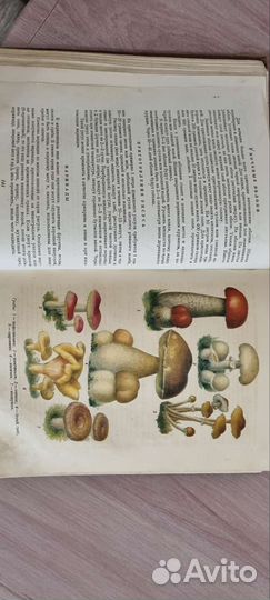 Книга домоводство