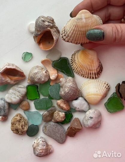 Морские ракушки и камешки