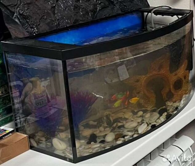 Аквариум с рыбками