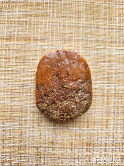 Карп резной на янтаре из Калининграда