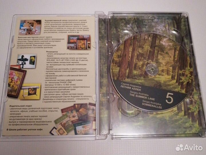 DVD диск Сергей Андрияка Летняя аллея