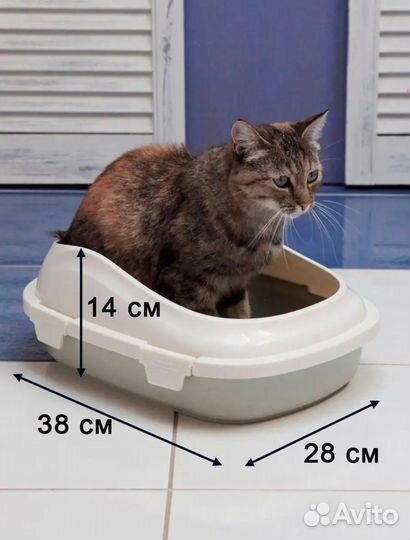 Лоток для кошек