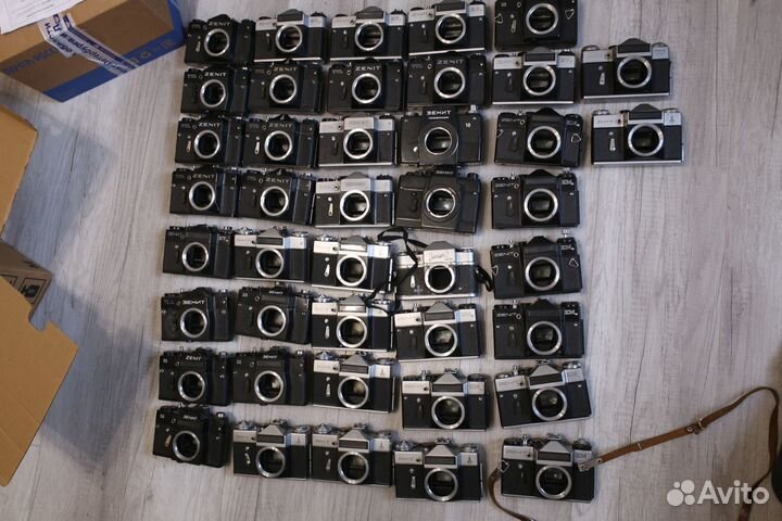 Тушки Зенит большой выбор 11.08.23