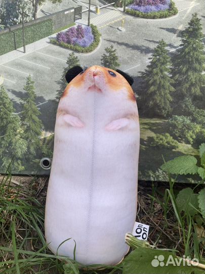 Сирийский хомяк