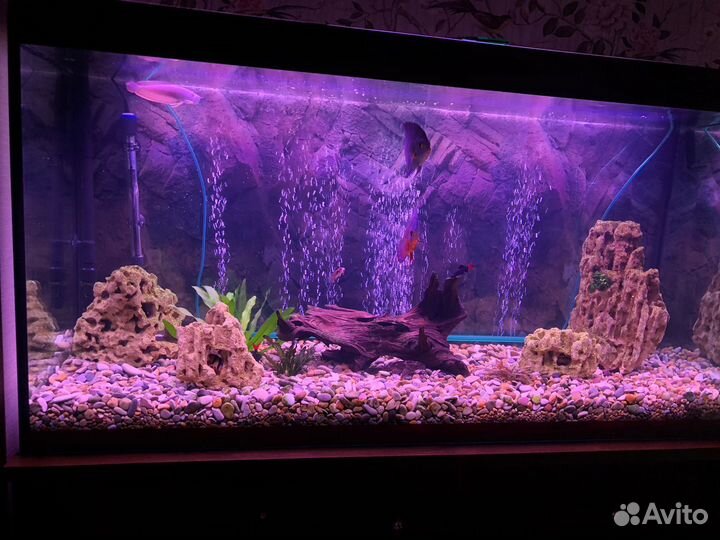 Грот для аквариума