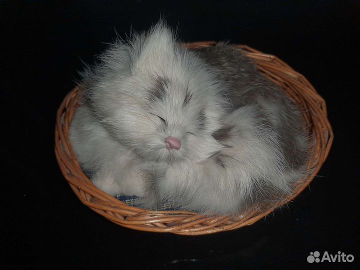 Кошка в корзинке