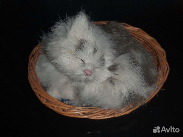 Кошка в корзинке