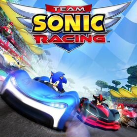 Team sonic racing PS4/PS5 на русском