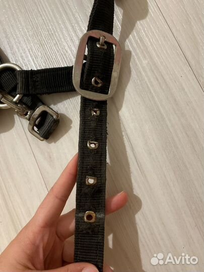 Недоуздок для лошади